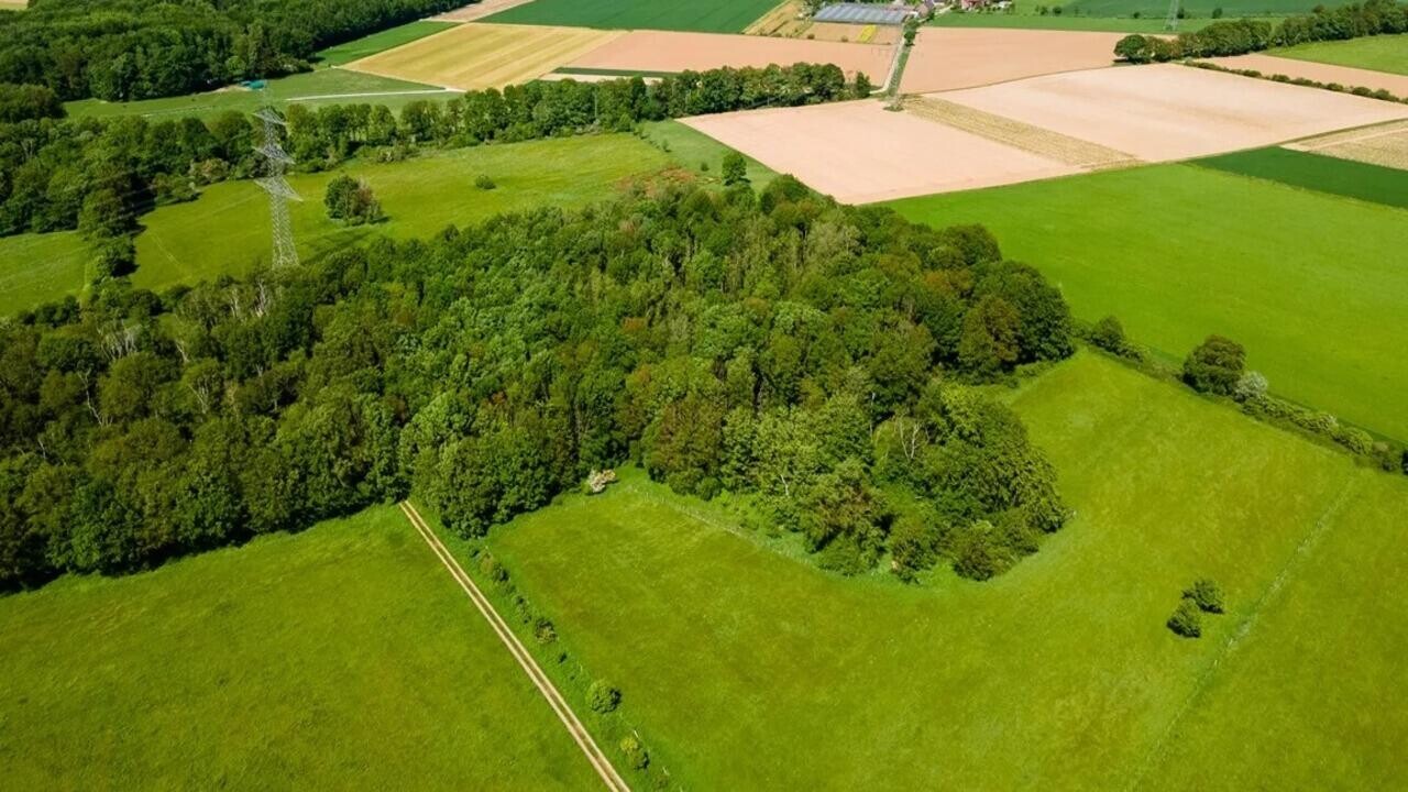 Какие земли в Беларуси нельзя передать в частную собственность
