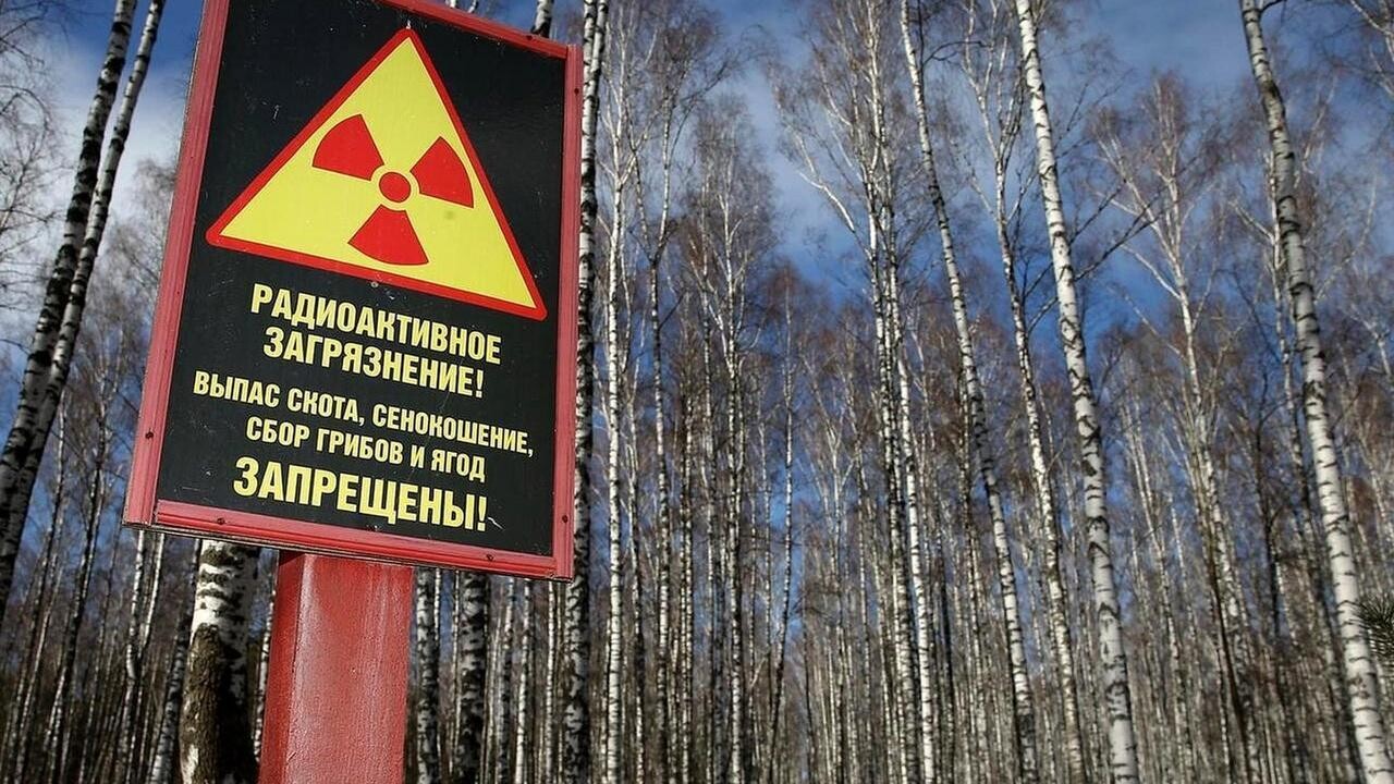 В Беларуси сократили число населенных пунктов, находящихся в зонах радиоактивного загрязнения
