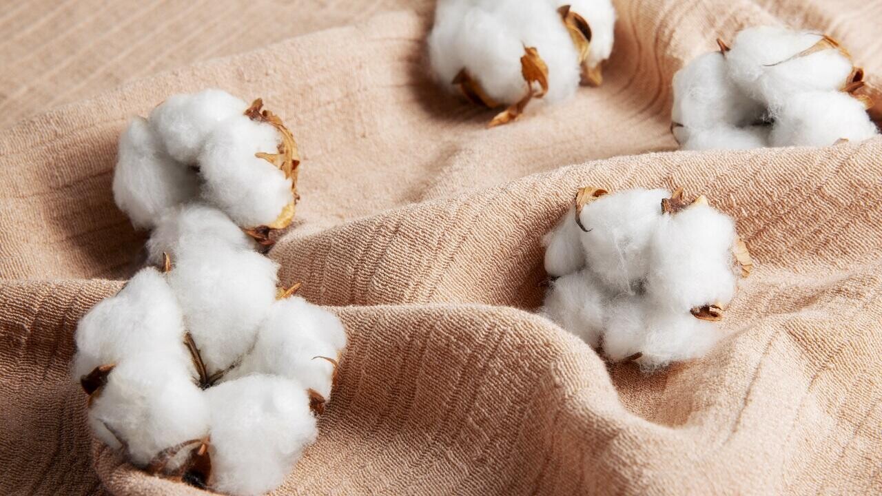 «Беллегпром» усилит кооперацию с Узбекистаном: хлопок, шерсть, кожа и новые контракты