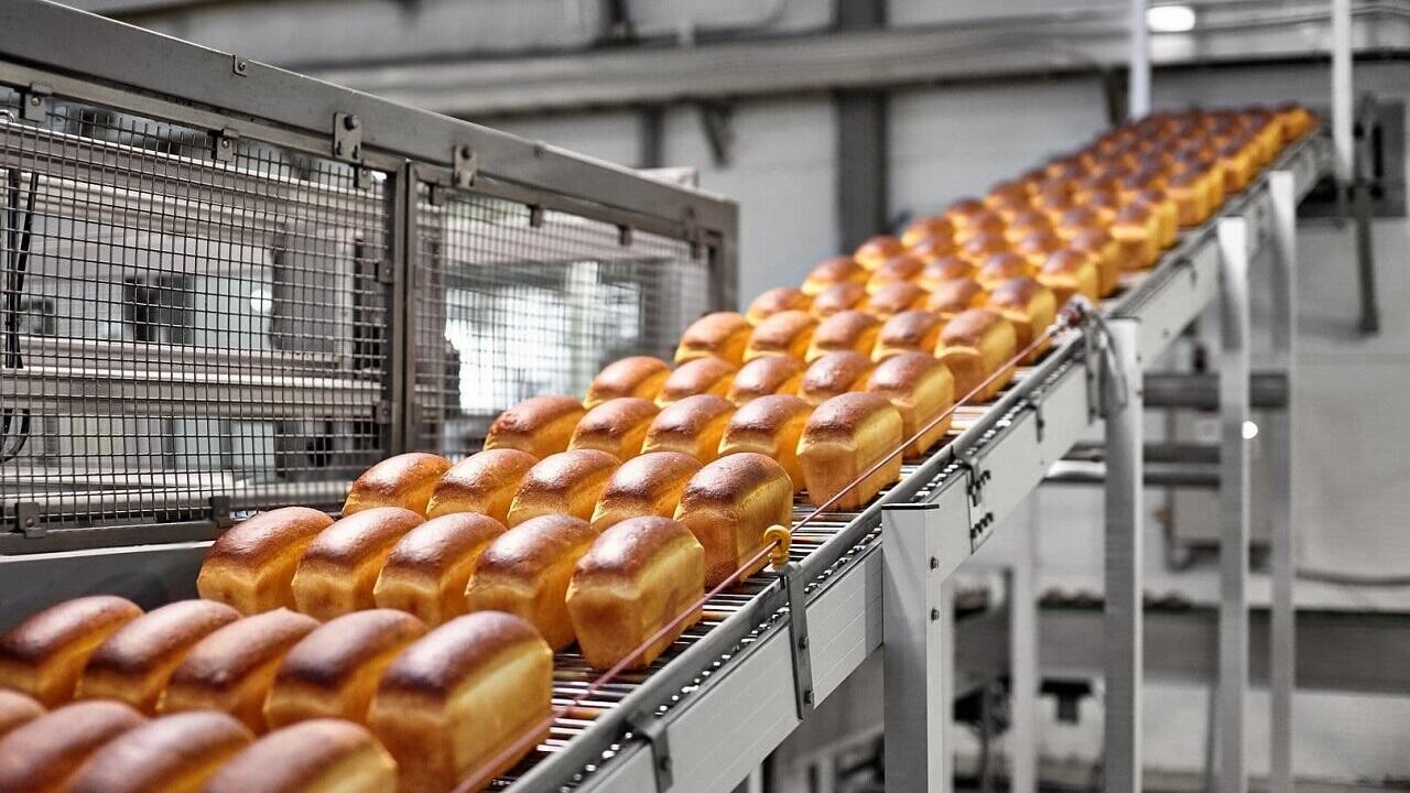 Для белорусских переработчиков запустили программу льготного лизинга оборудования