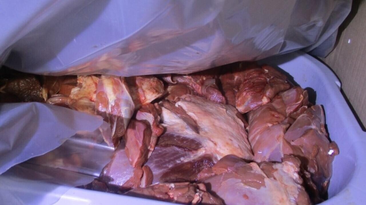 Почти тонну мяса дичи вернули из России в Беларусь: что не так с грузом