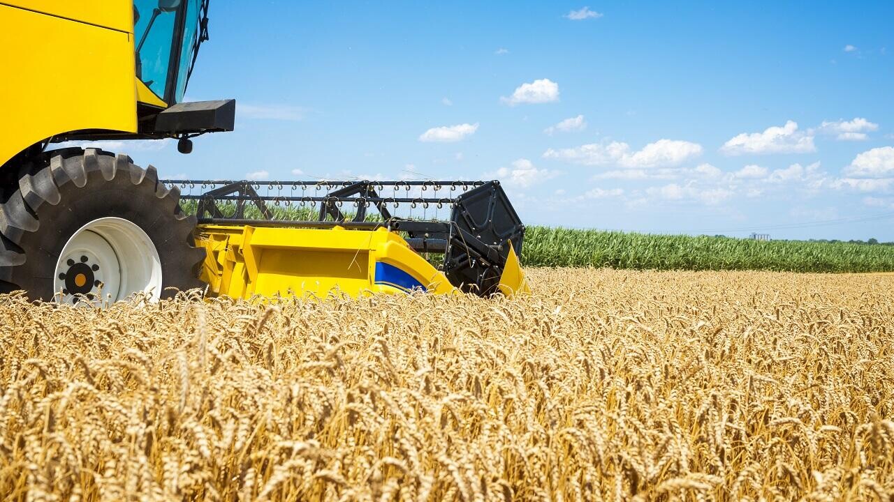 Аграрный сектор Беларуси смог завершить 2025 год в плюсе. Какой регион в лидерах?