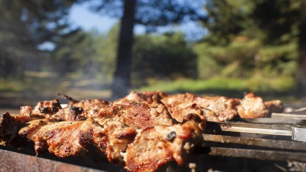 Большие выходные без шашлыков? Где в Беларуси ограничили посещение лесов