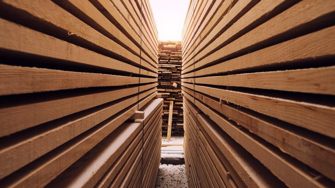 В Беларуси обновлен рекорд по экспорту пиломатериалов. Что по деньгам?