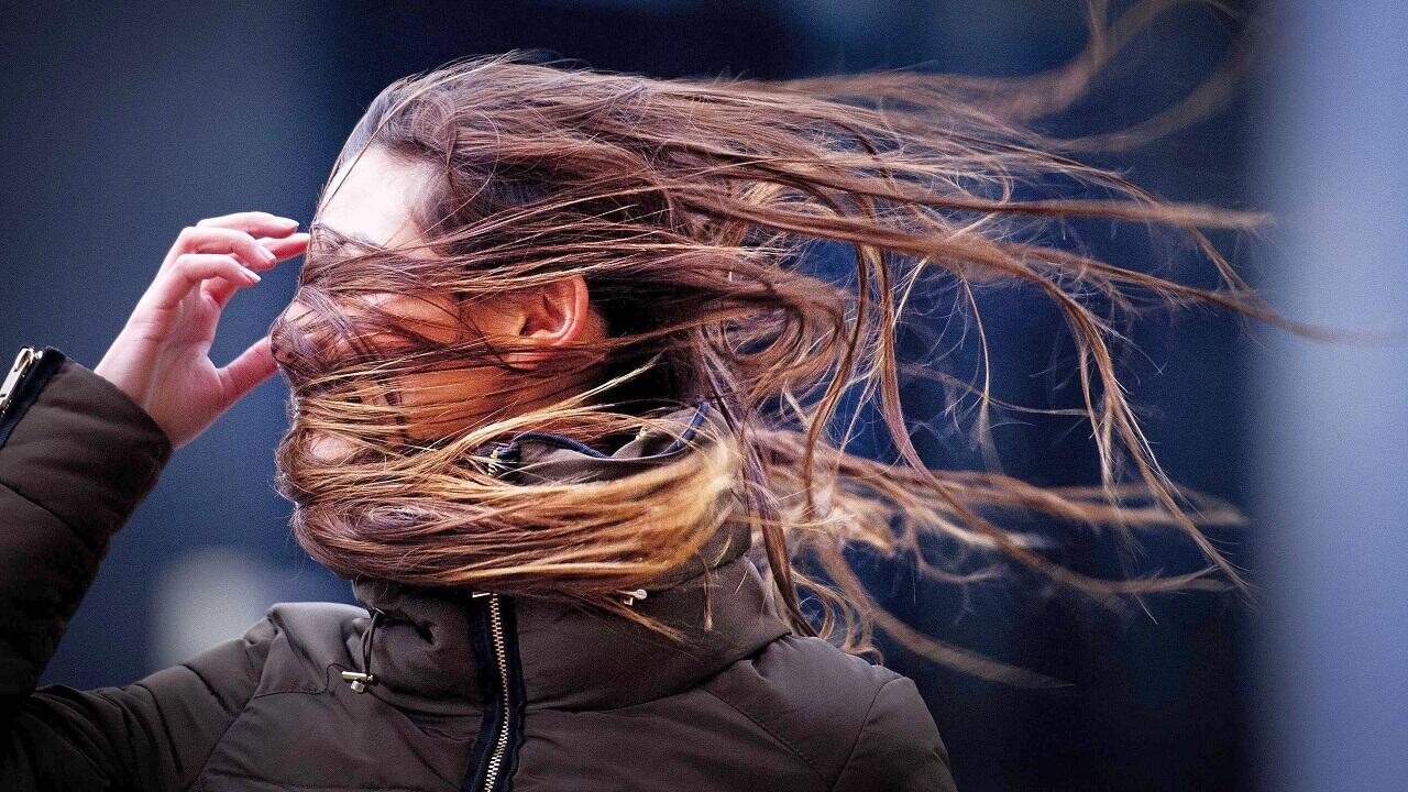 Оранжевый уровень опасности: белорусов пугают гололедицей и мощным ветром