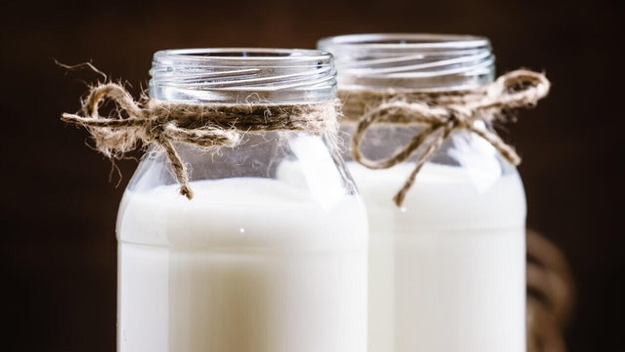 Россия возобновила ввоз продукции двух белорусских предприятий