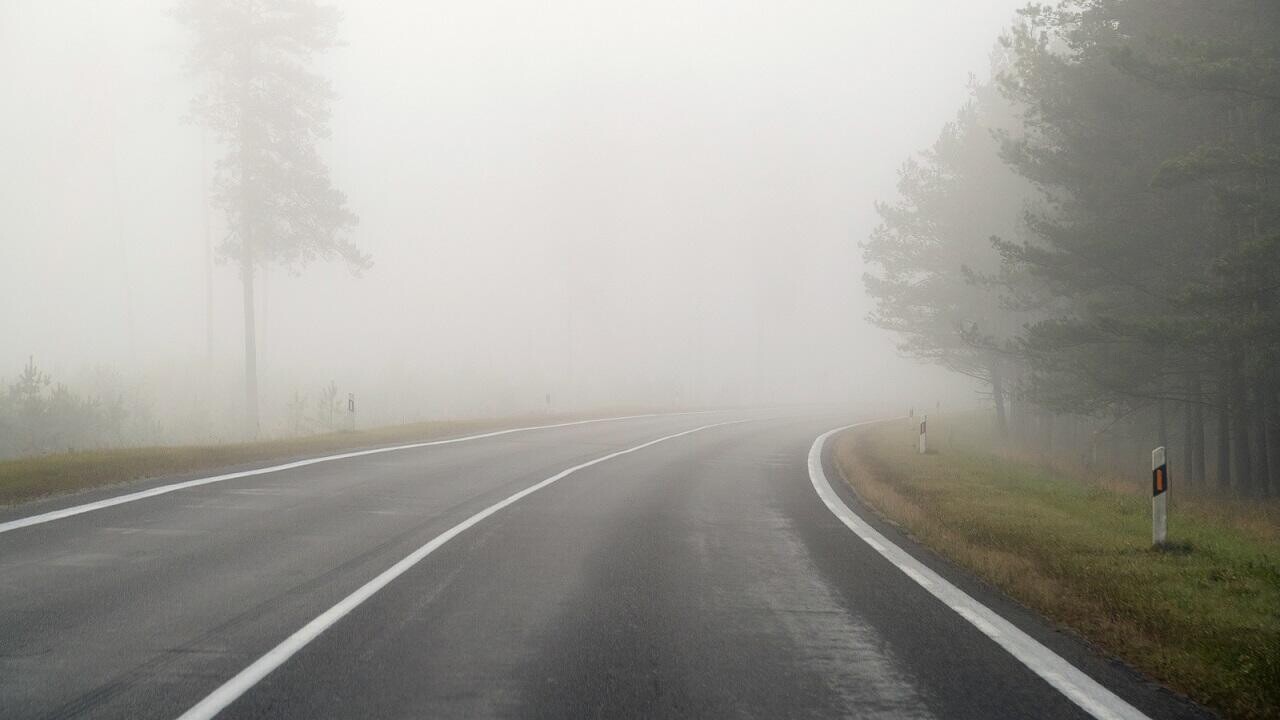 Погода в Беларуси: гололед и туман ожидаются в последние выходные ноября