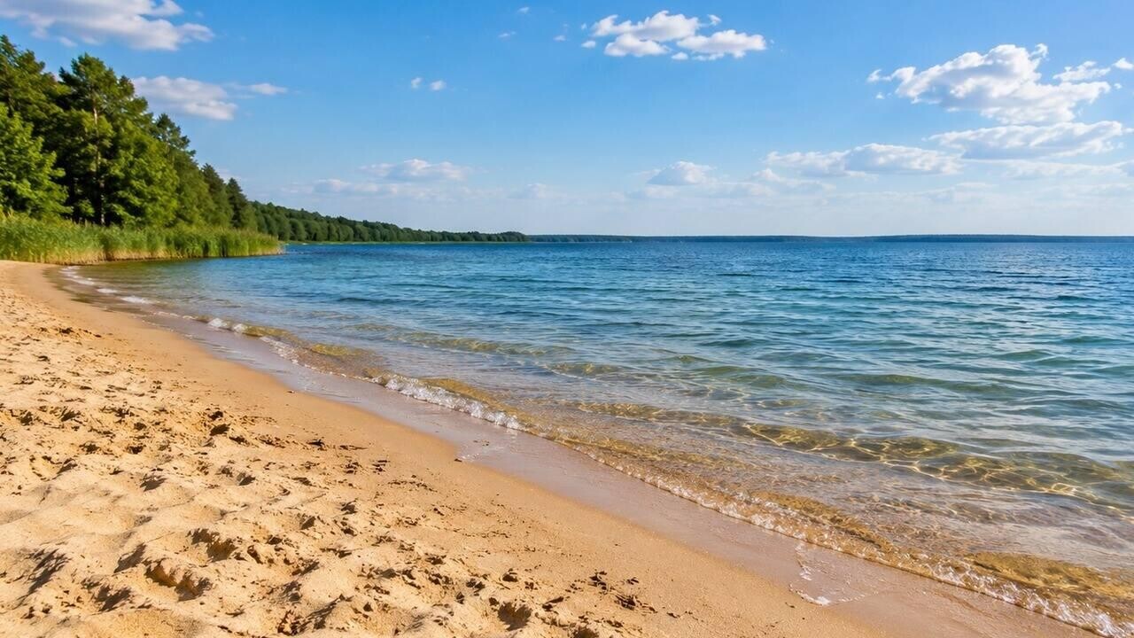 500 тысяч рублей за лучший пляж. В Беларуси объявили конкурс