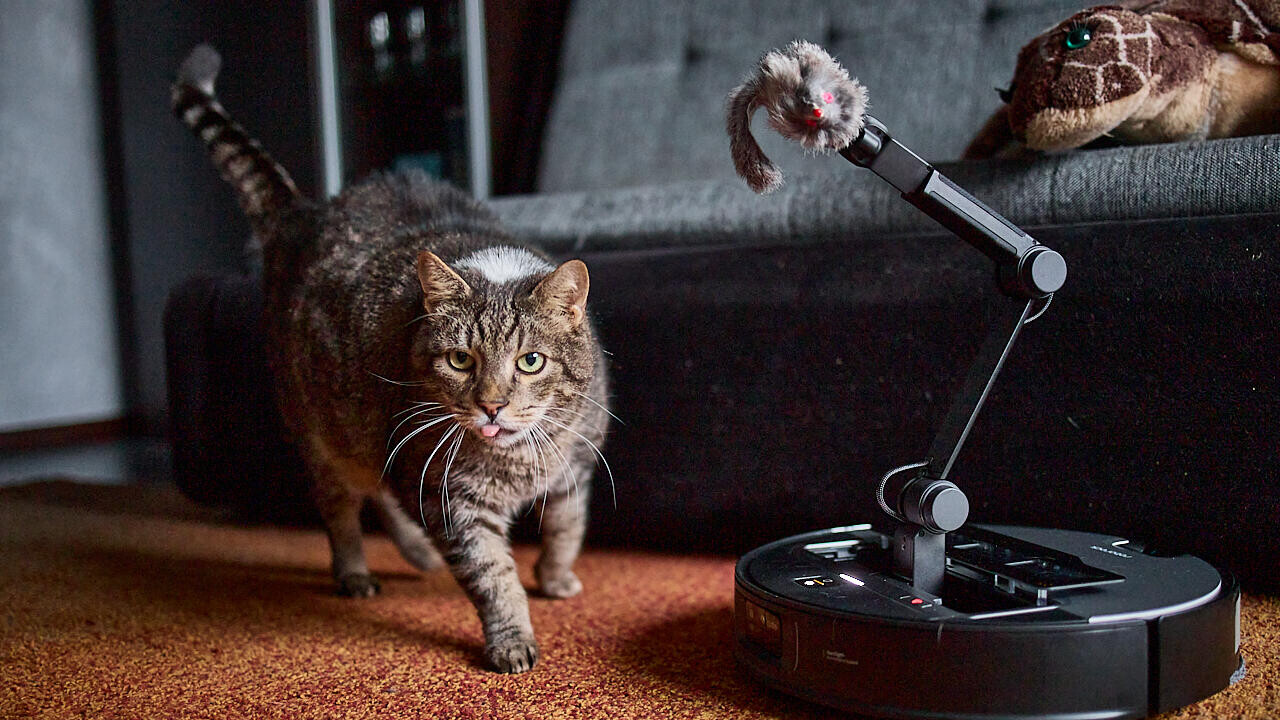 Как мы пытались «сломать» умный робот-пылесос: тест на шерсть, кабели, темные углы и любопытных котов