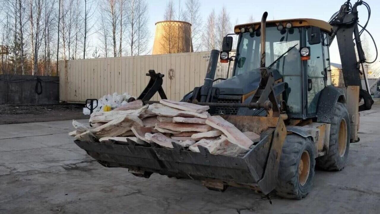 В РФ утилизировали 20 тонн продукции из Беларуси. Что с ней не так?