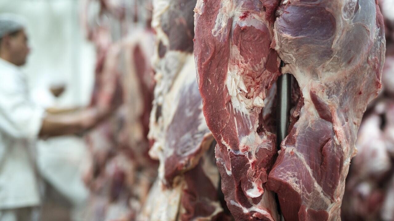 В Новогрудке Госконтроль закрыл частное мясное производство. Почему?