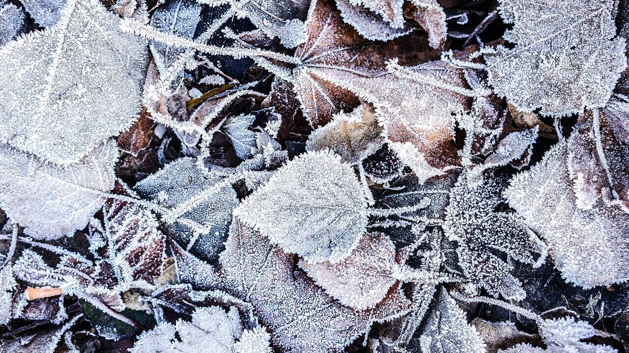 В Беларуси ударят морозы – объявлен оранжевый уровень опасности