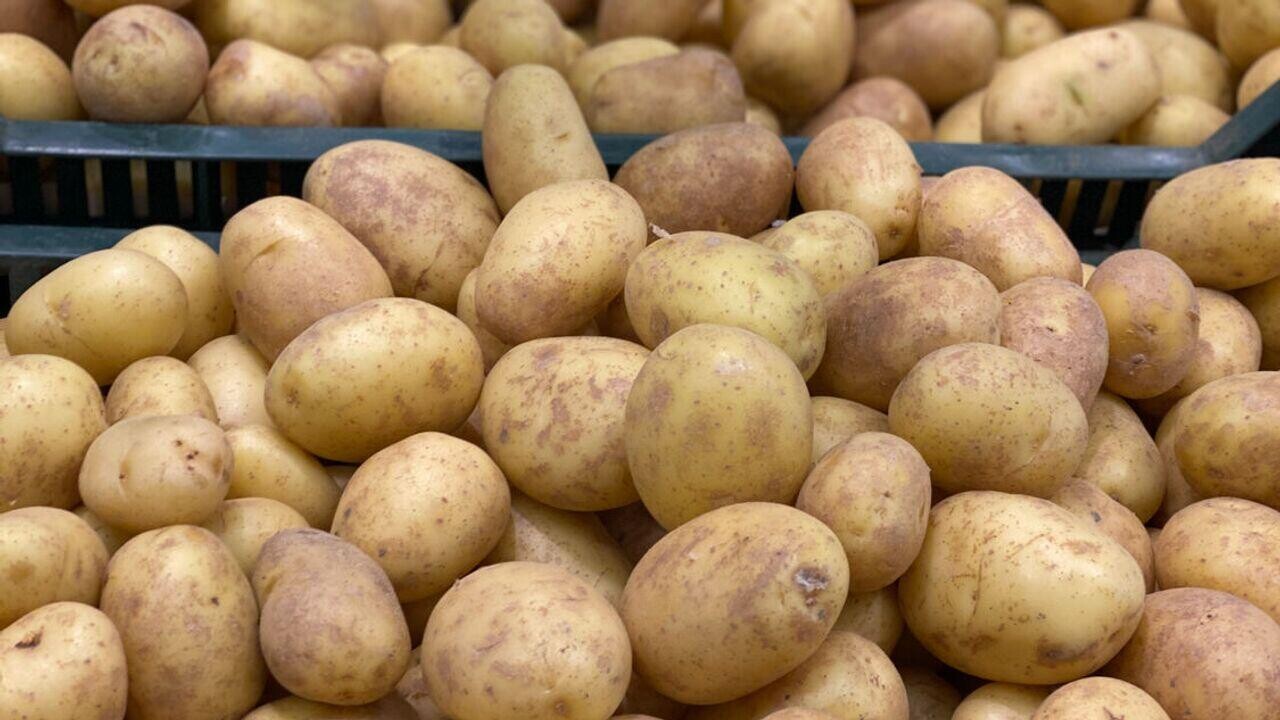 В Беларуси завершилась уборка картофеля. Какой получили урожай?