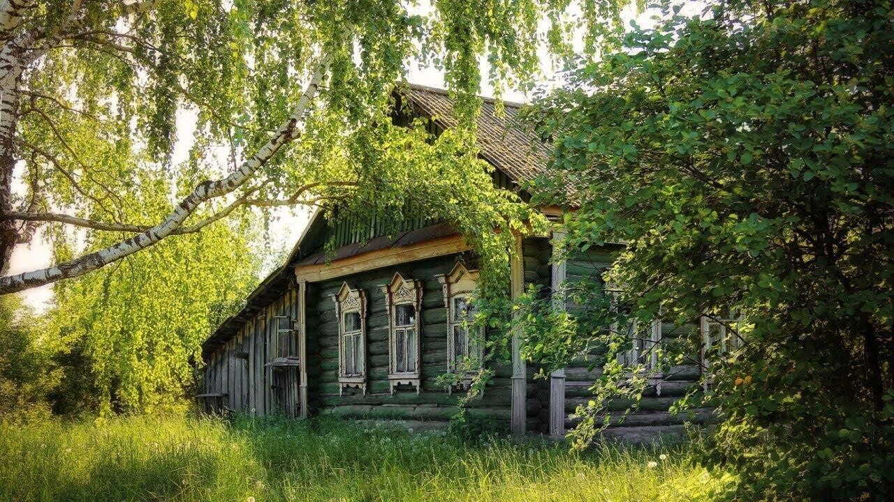 Дом за одну базовую: как купить пустующее жилье в Беларуси