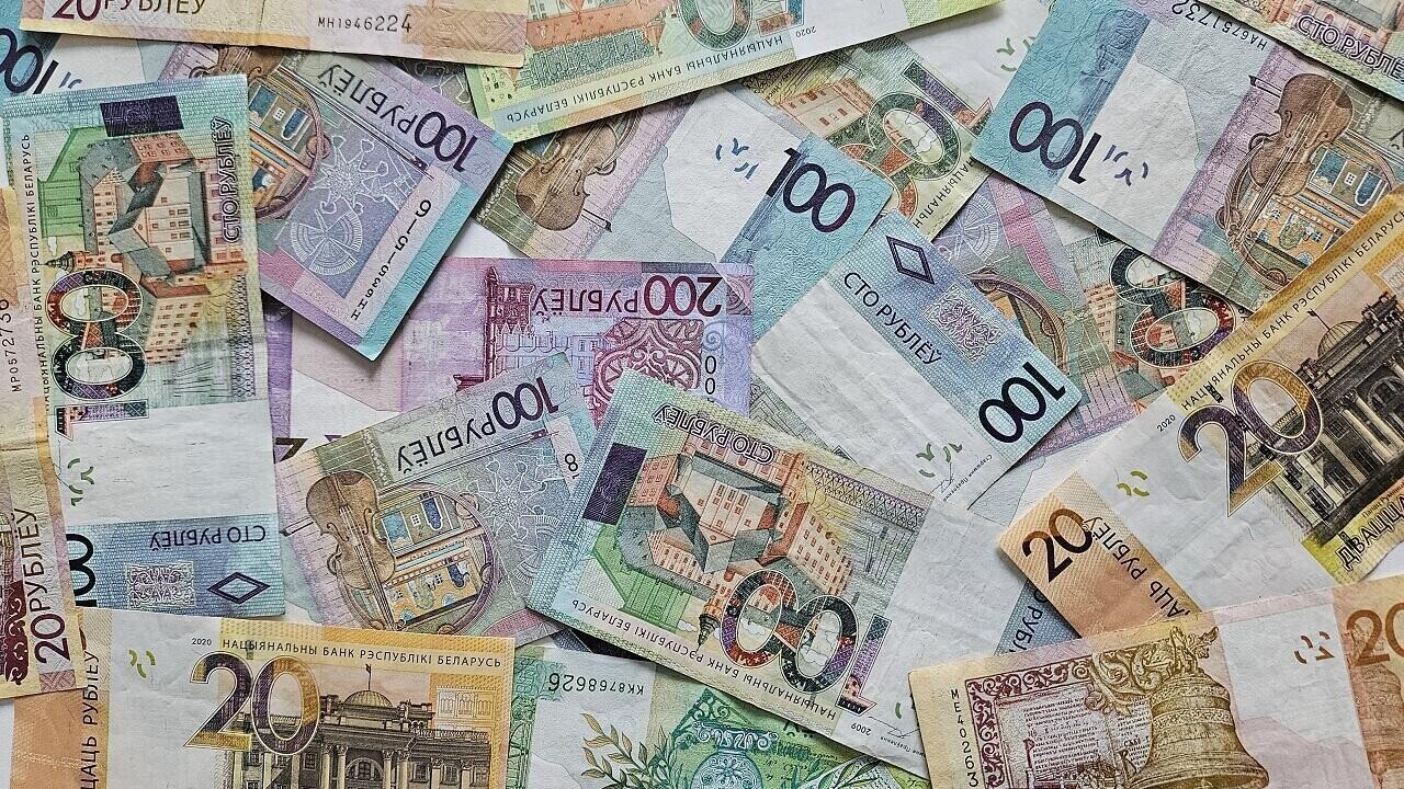 Выплаты до 9,7 тыс. рублей. Кто в Беларуси может получить такую субсидию