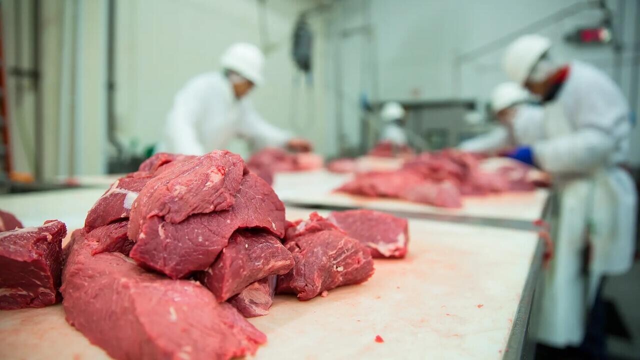 Преступная схема хищения мяса раскрыта в Беларуси. Что известно?