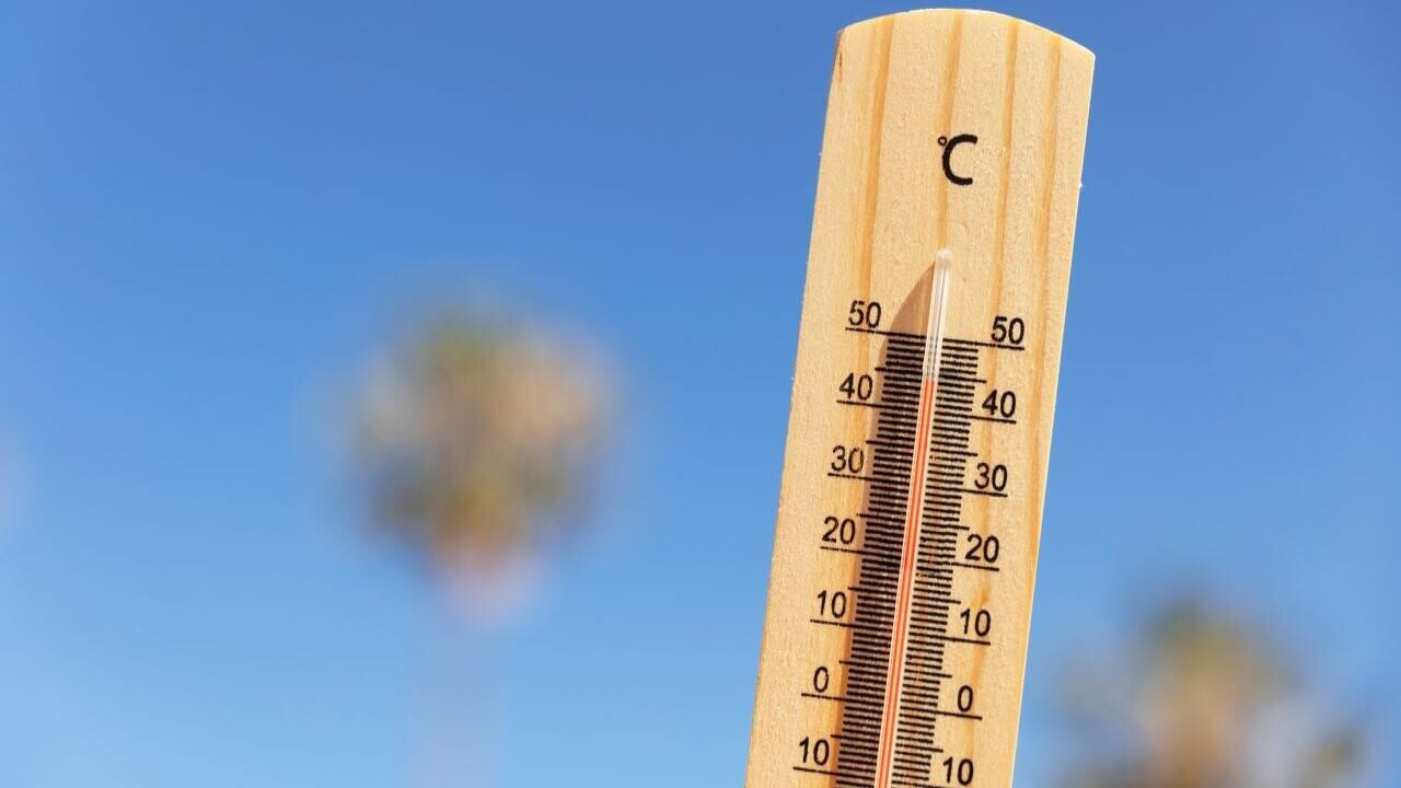 Ждать ли в Беларуси экстремальную жару: ответили в Белгидромете