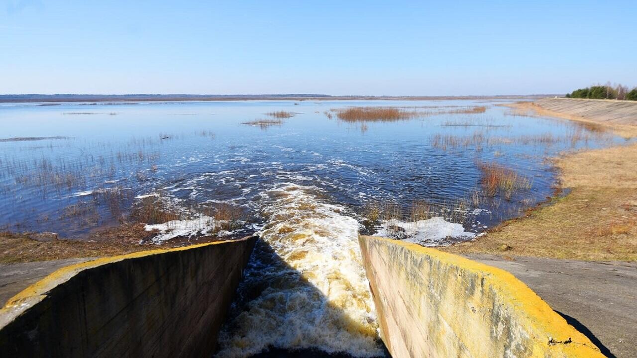Проект времен СССР решит проблему засух на Гомельщине. Во сколько обойдется?
