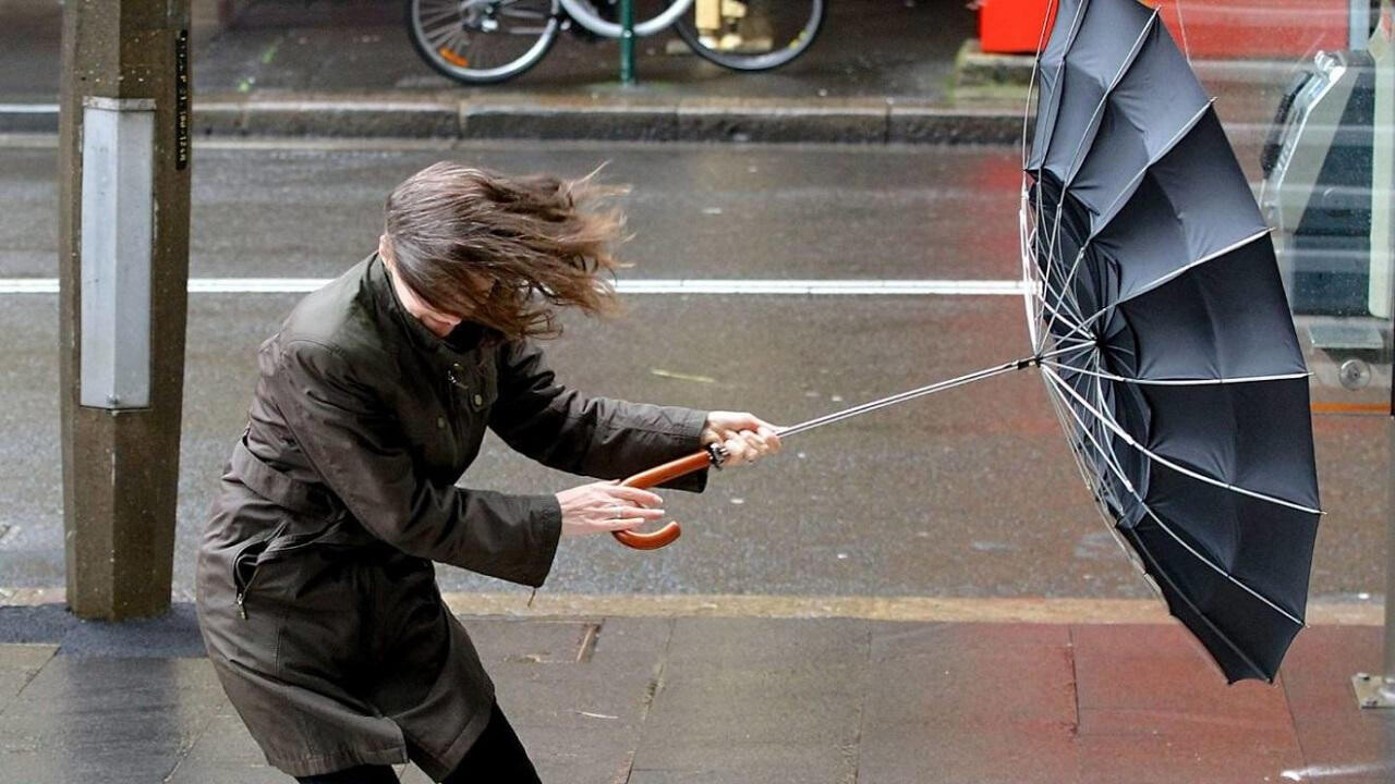 В выходные в Беларусь придут дожди с порывистым ветром. Что по температуре?