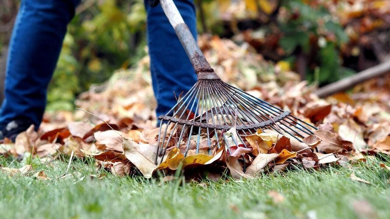 Названа дата республиканского субботника. Куда направят собранные средства?