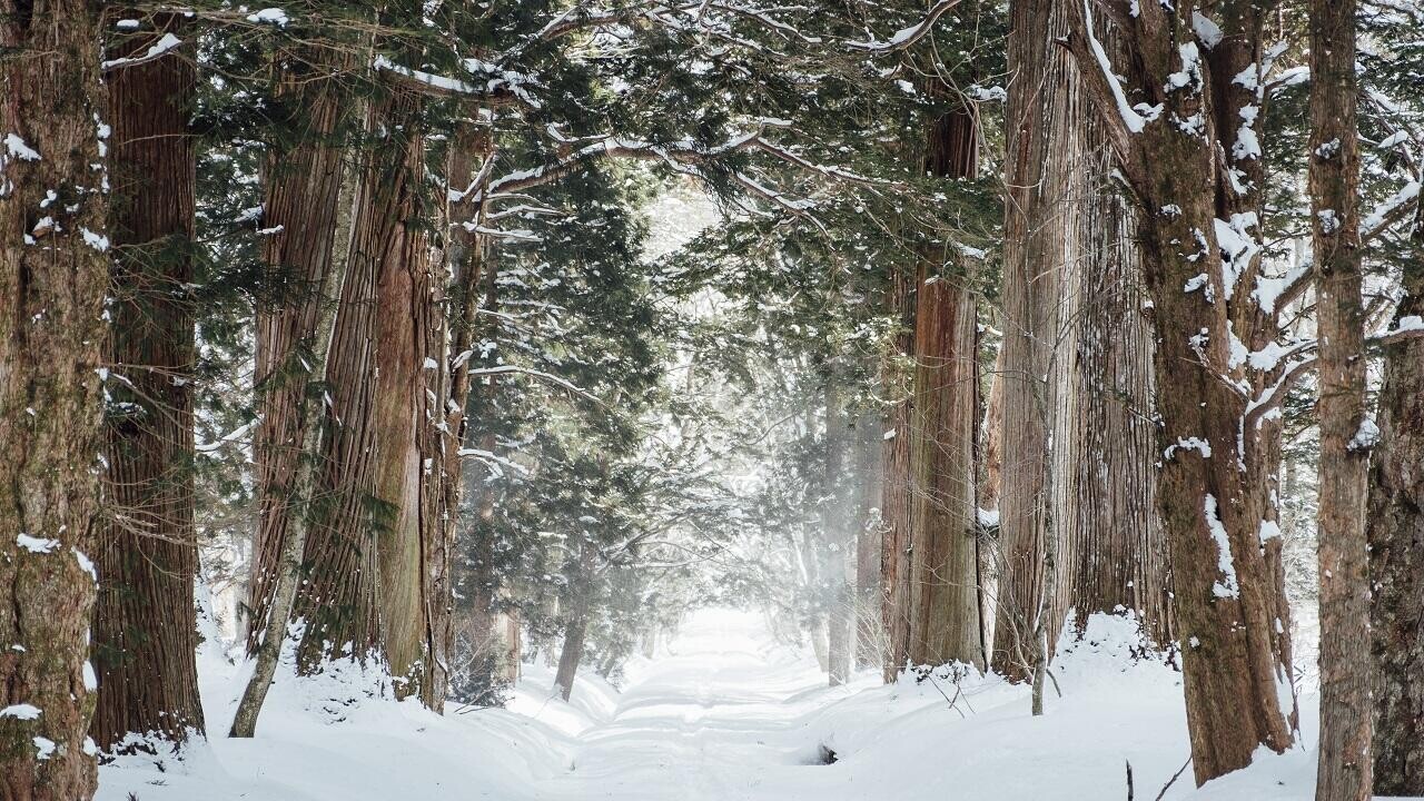 Строим планы на февраль: зимние экскурсии недалеко от Минска