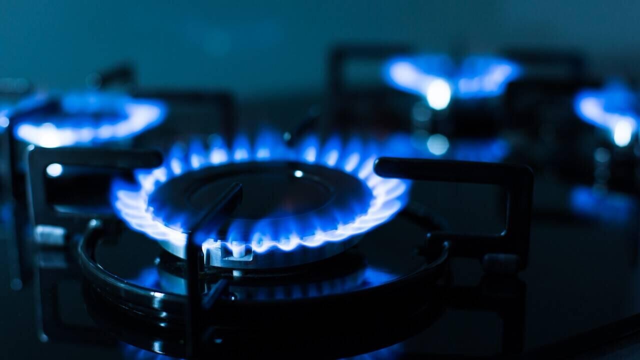 Беларусь вошла в топ-3 стран Европы по доступности газа