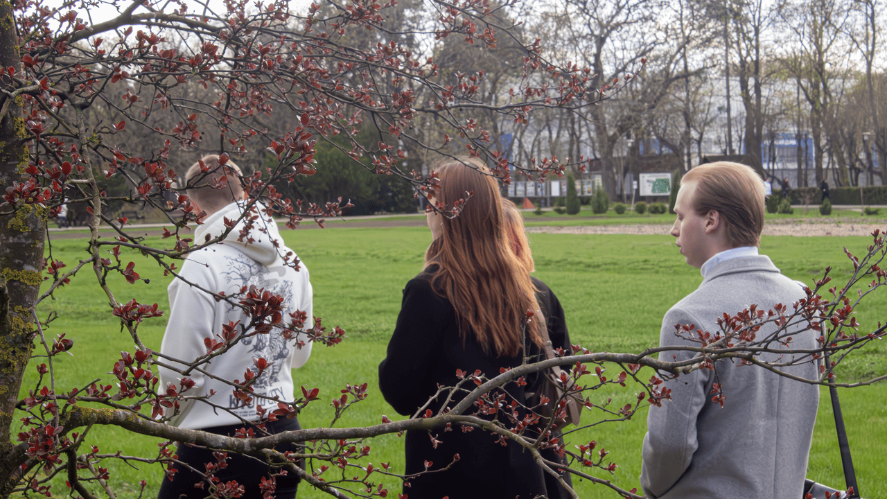 OZON ищет сотрудников в Беларуси на зарплату в 3 000 BYN без опыта