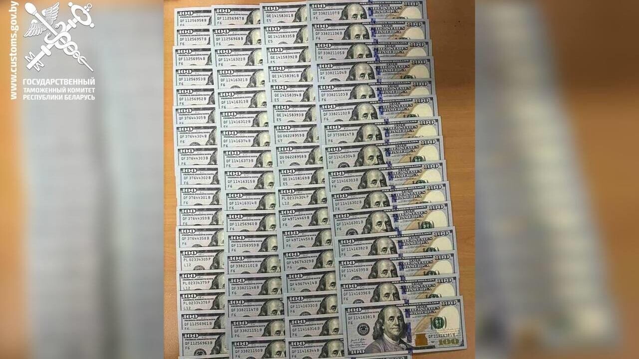 Иностранцы тайно везли в Беларусь солидные суммы в валюте. Чем закончилось?