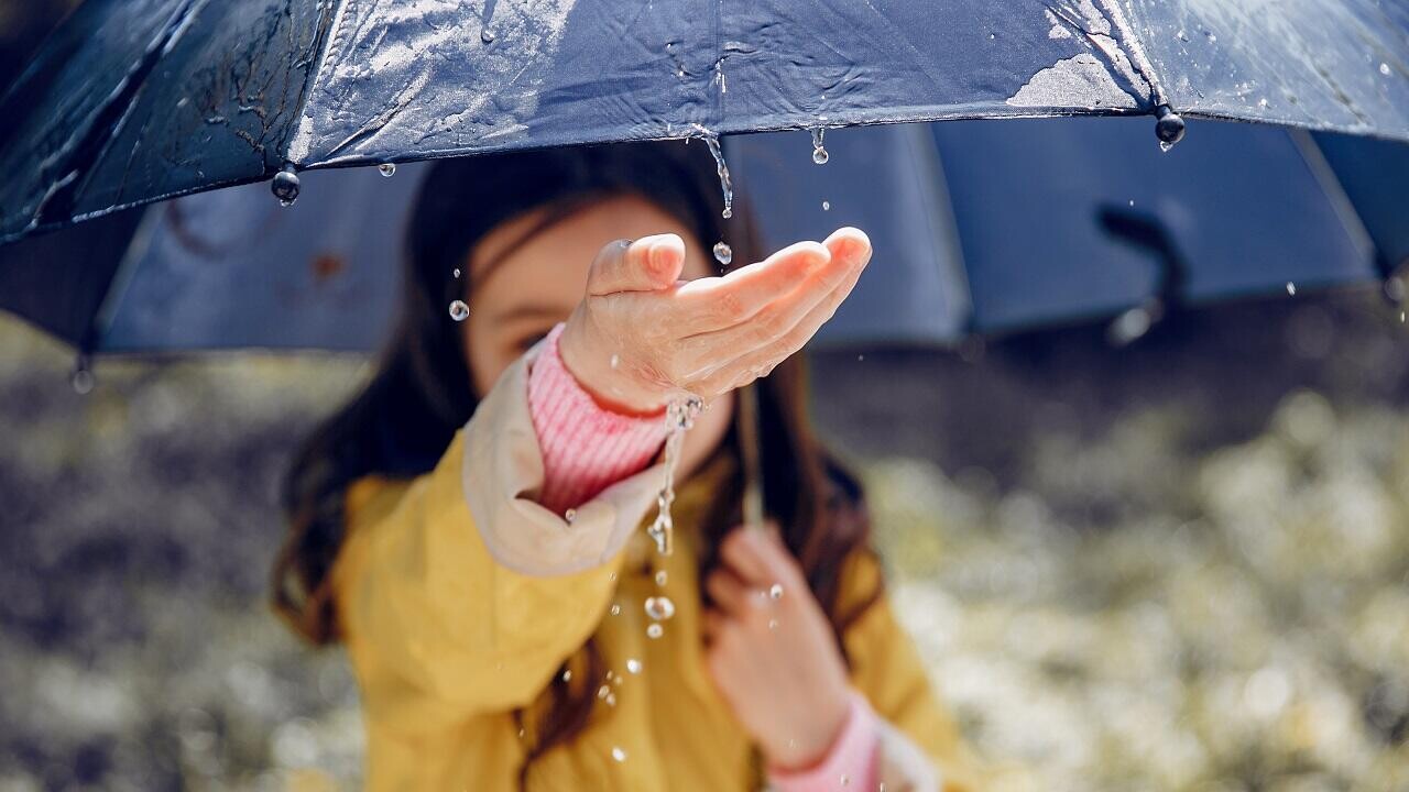 Испортится ли погода? Что белорусу взять с собой, выходя из дома в выходные