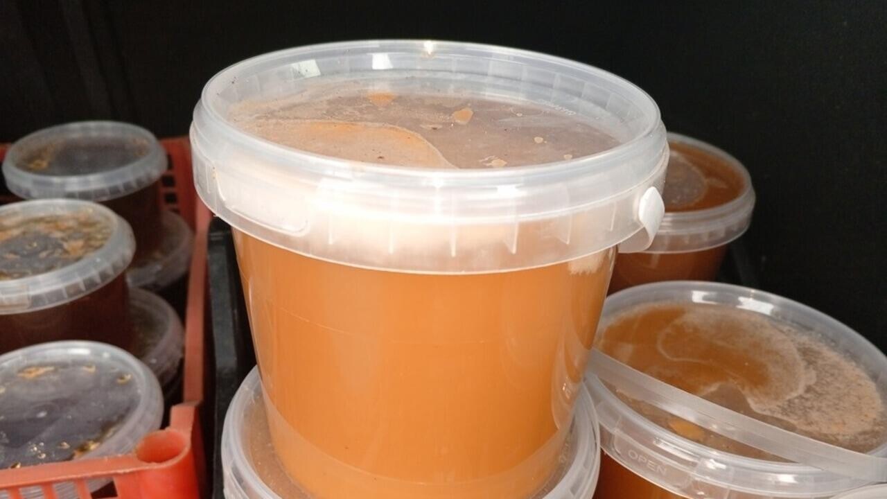 Белорусский мед не пропустили в Россию. Почему?