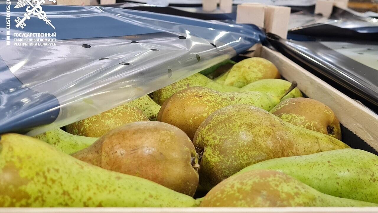 Белорусская таможня не дала ввезти в Россию тонны груш и кормов без документов