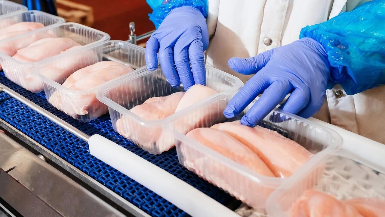 Птицефабрика «Дружба» ищет работников. Какие зарплаты предлагают?