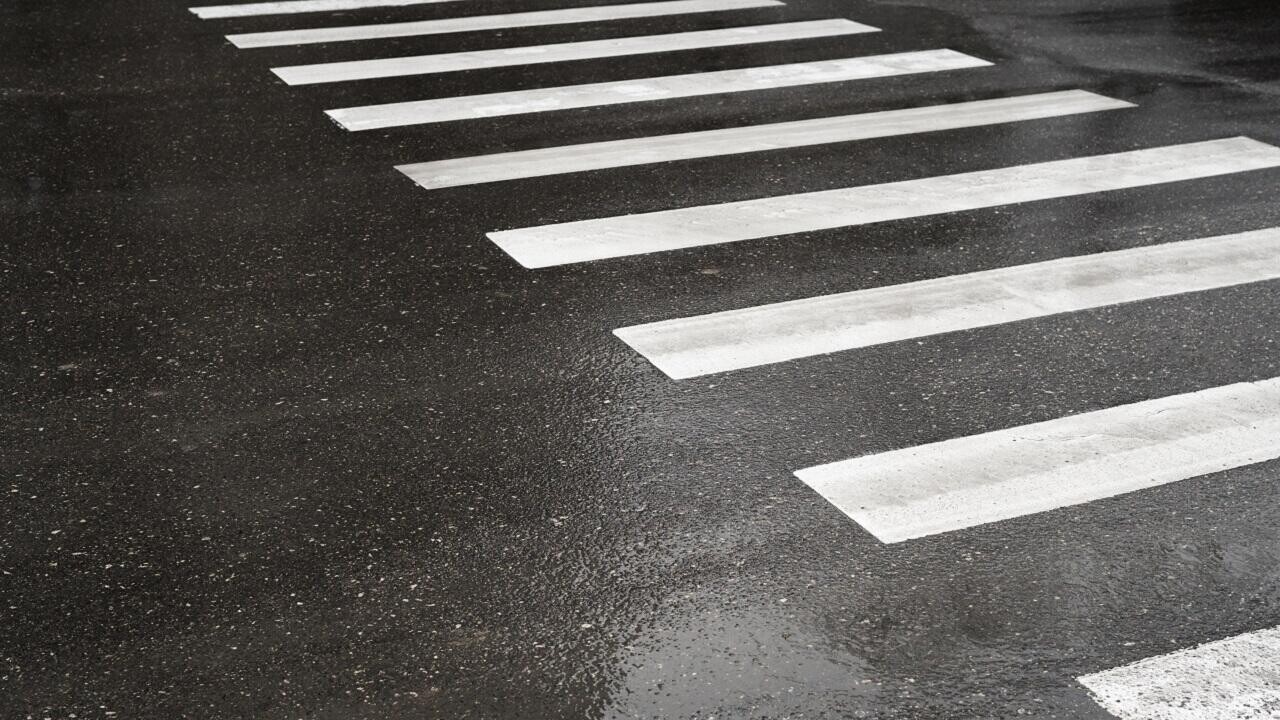 В Беларуси тестируют первую «умную» зебру с отечественной системой