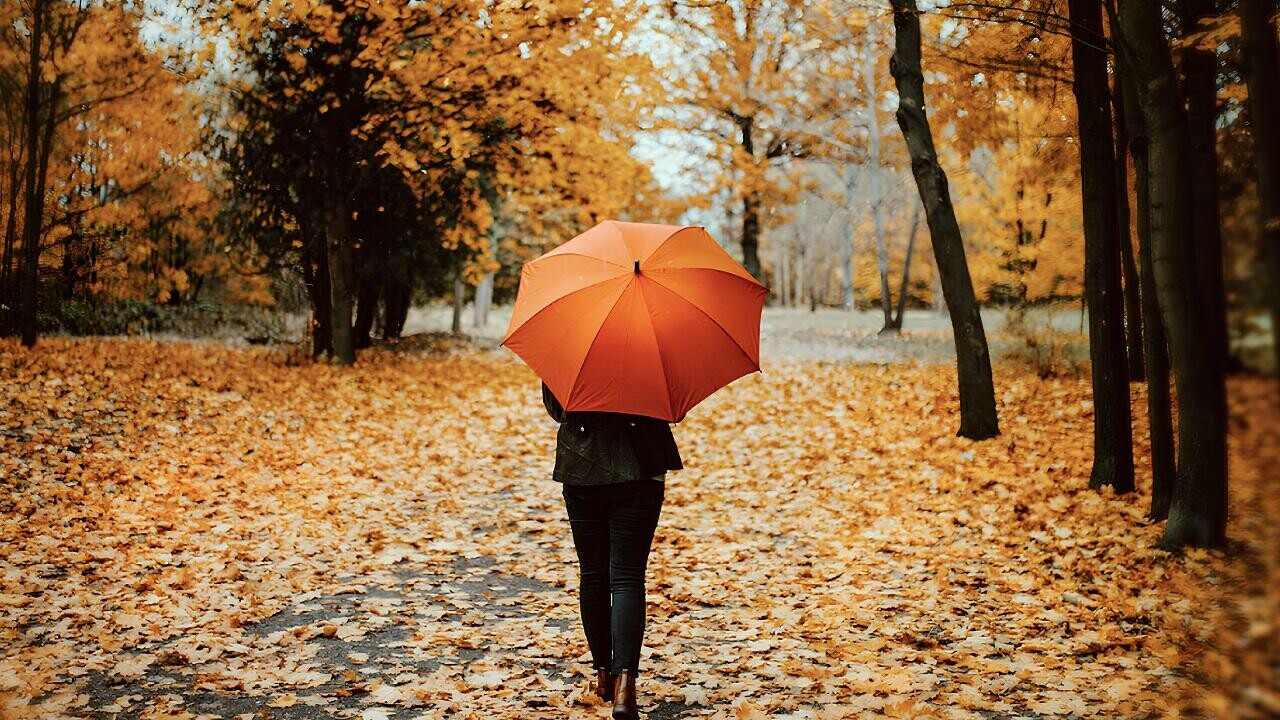 Куда сходить 15–16 ноября в Минске: афиша мероприятий с ценами