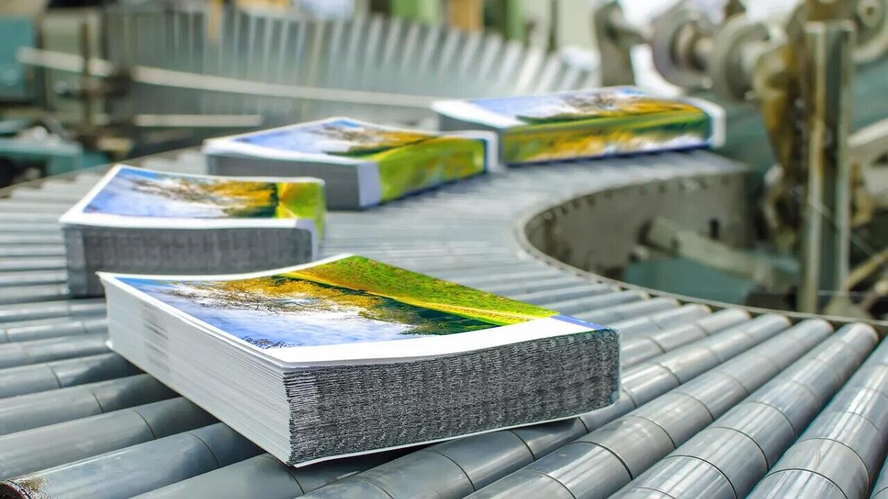 С 2026 года ИП в Беларуси не смогут быть издателями. Есть ли послабления?