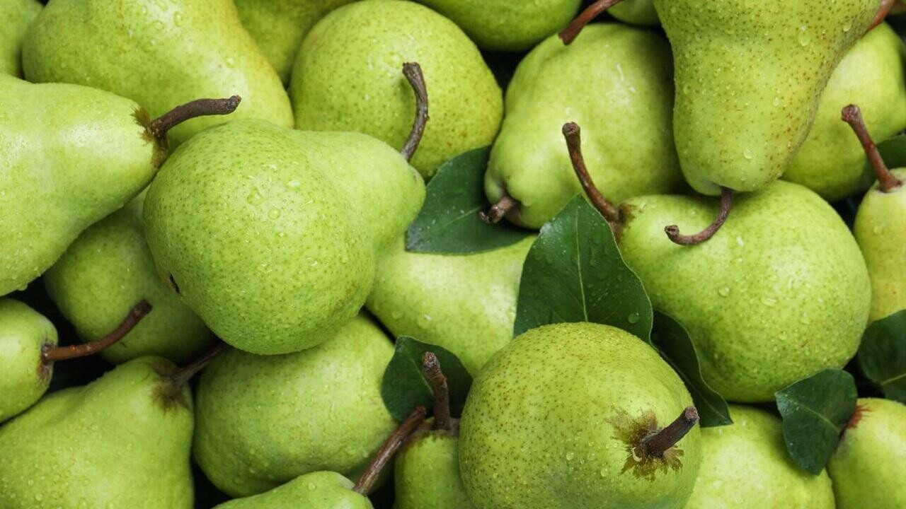 Белорусская таможня не дала вывезти в Россию 60 тонн груш без документов