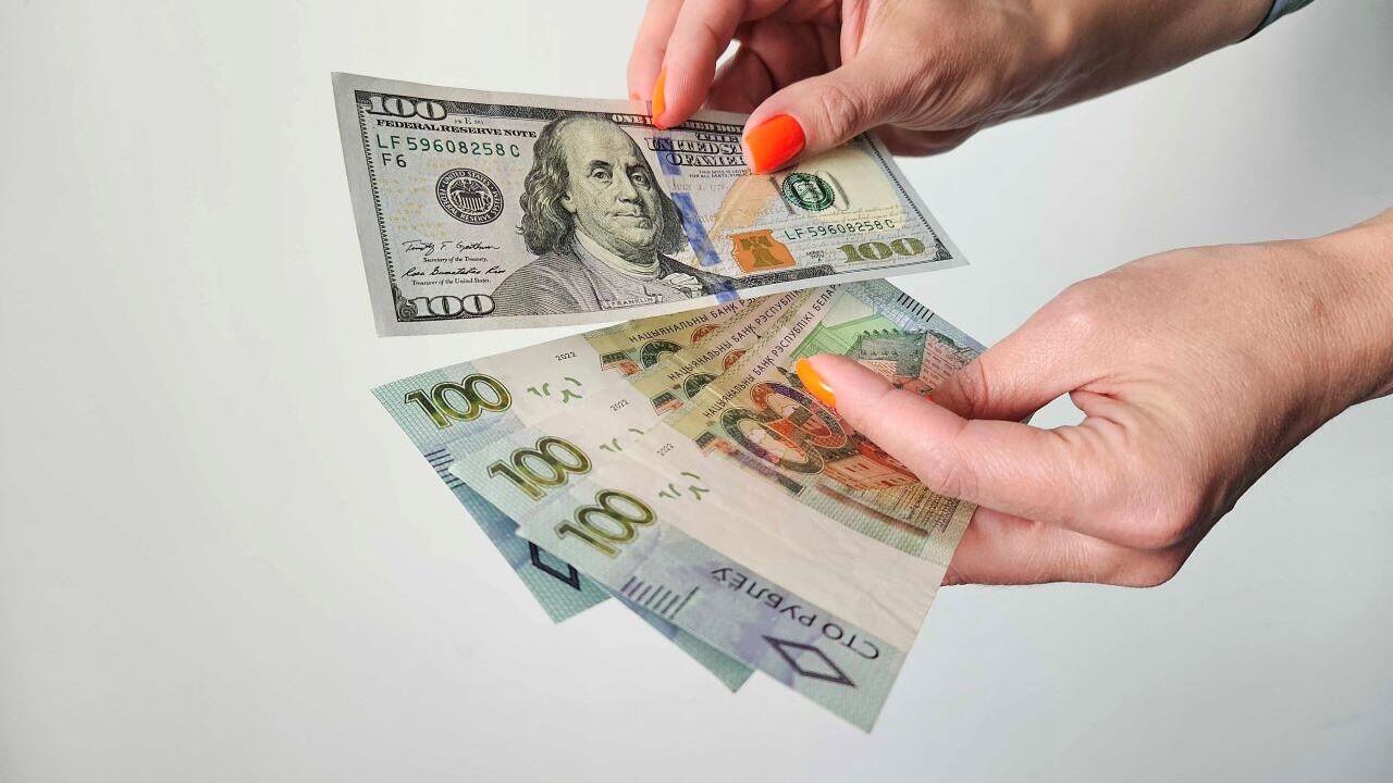 Верят ли белорусы в доллар? Итоги опроса и статистика сбережений