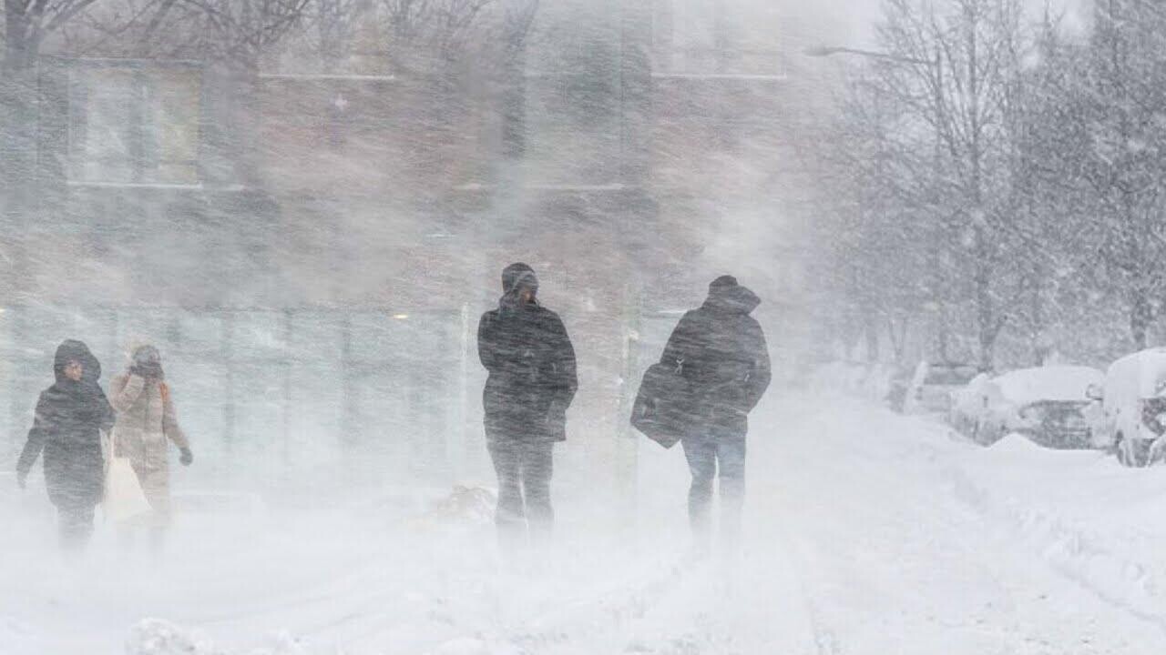 Снегопады накрывают Беларусь: как регионы подготовились к непогоде