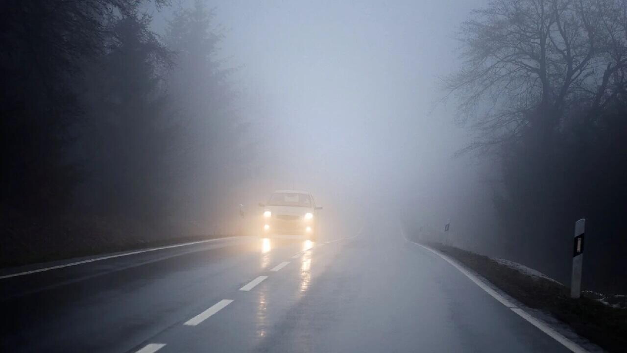 Видимость всего 100 метров:  из-за тумана в Беларуси объявили оранжевый уровень