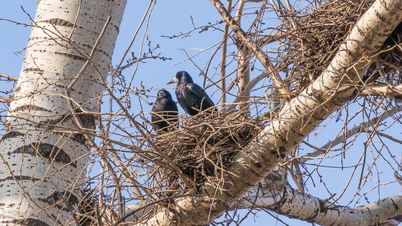 Штраф до 22 500 рублей – кто и за что может получить в Беларуси