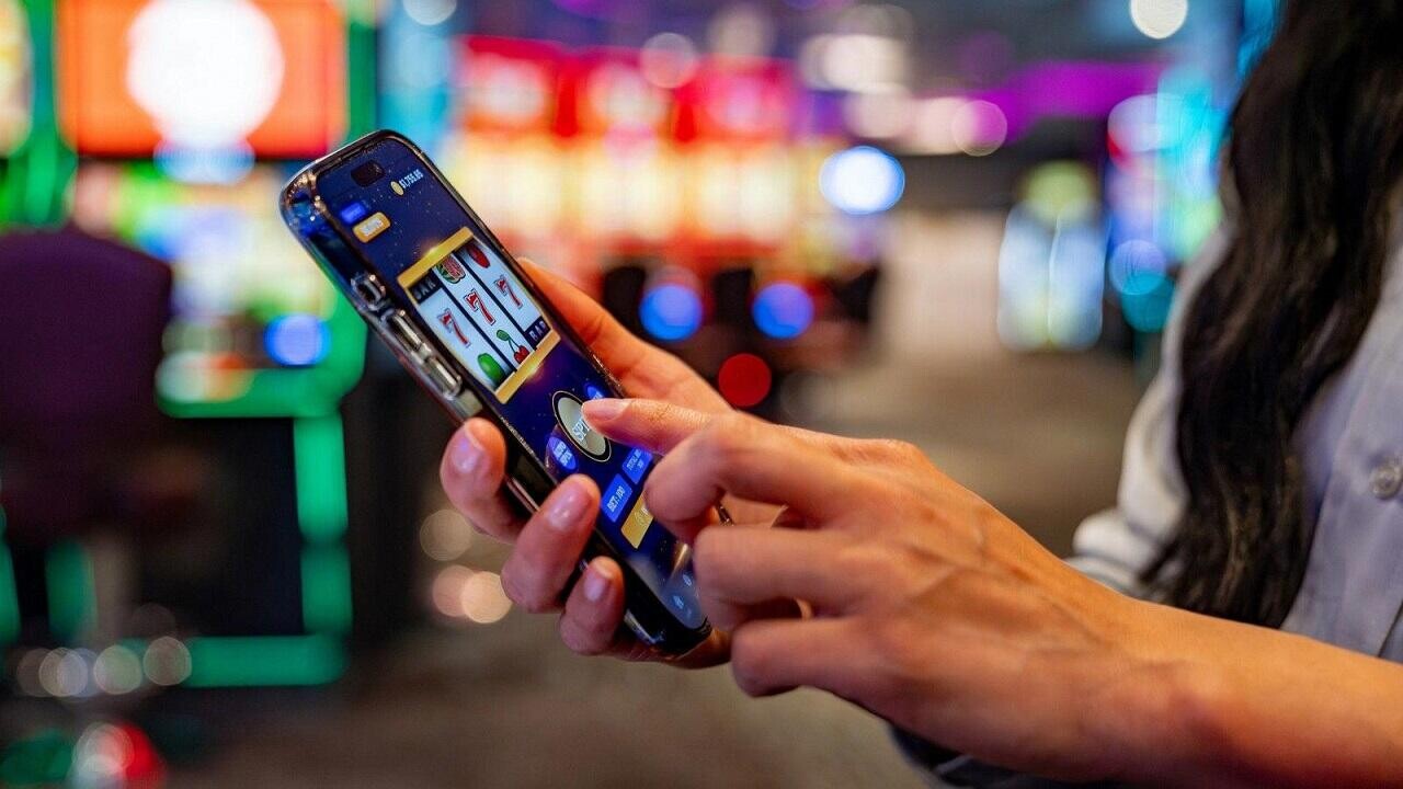 Главбух из Могилева спустила в онлайн-казино почти $100 000 своей компании