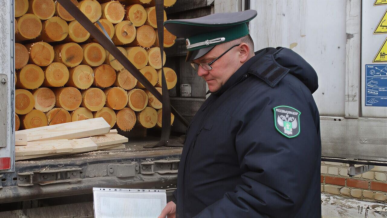 Белорусскую древесину развернули на границе с РФ. Почему?