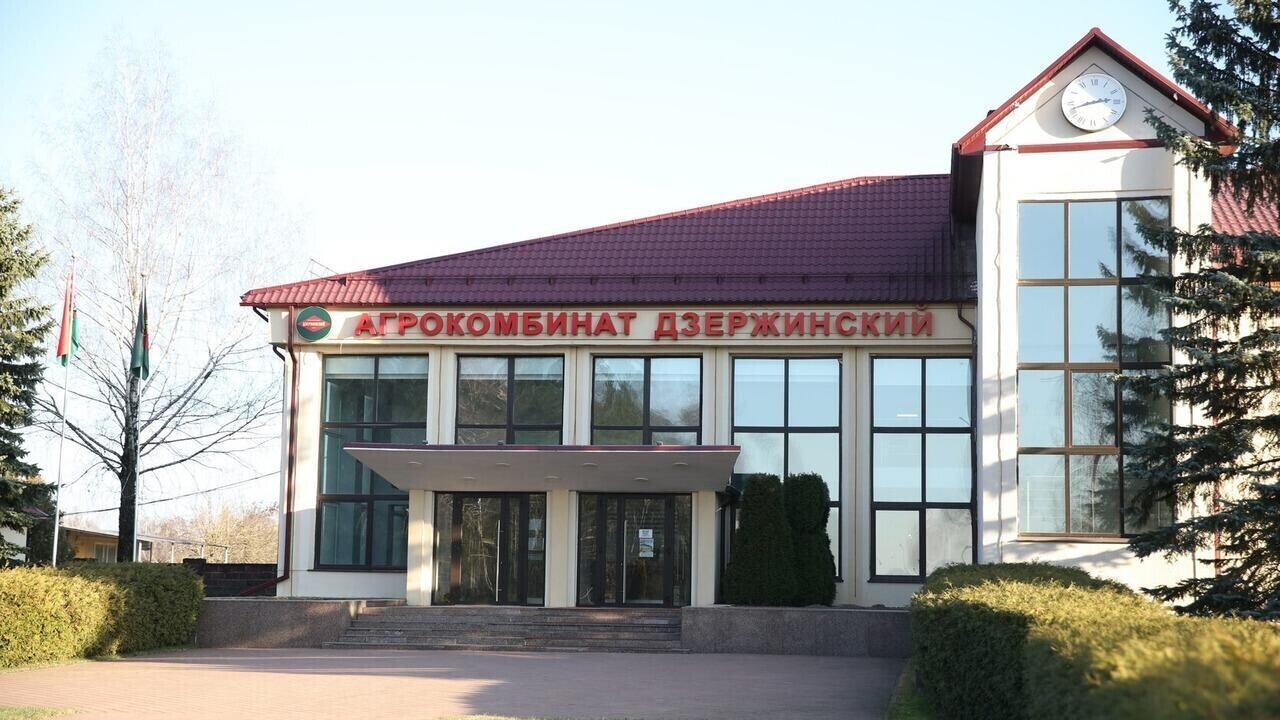 Агрокомбинаты Беларуси ищут работников. Какие зарплаты предлагают?